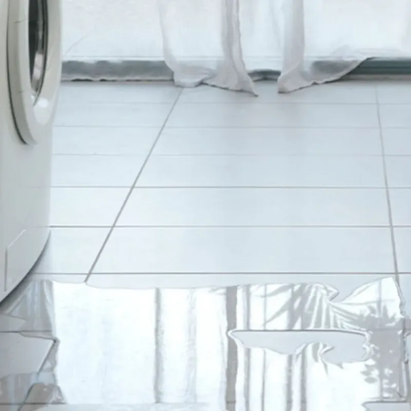 Appliance Leak Cleanup in Homosassa, FL